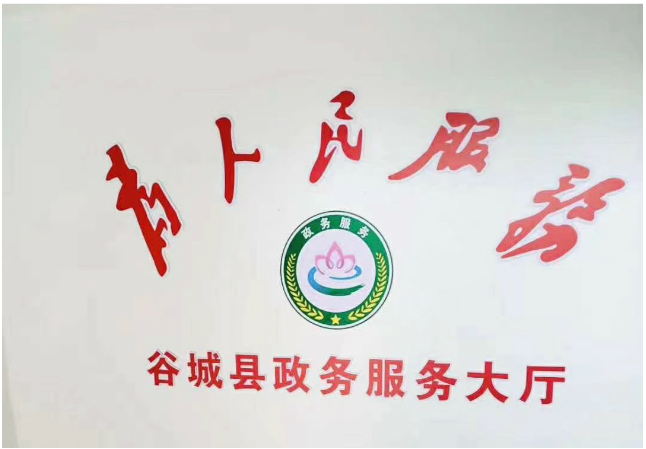 襄阳市谷城县政务服务大厅