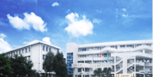 陕西省宝鸡市凤县新建路小学
